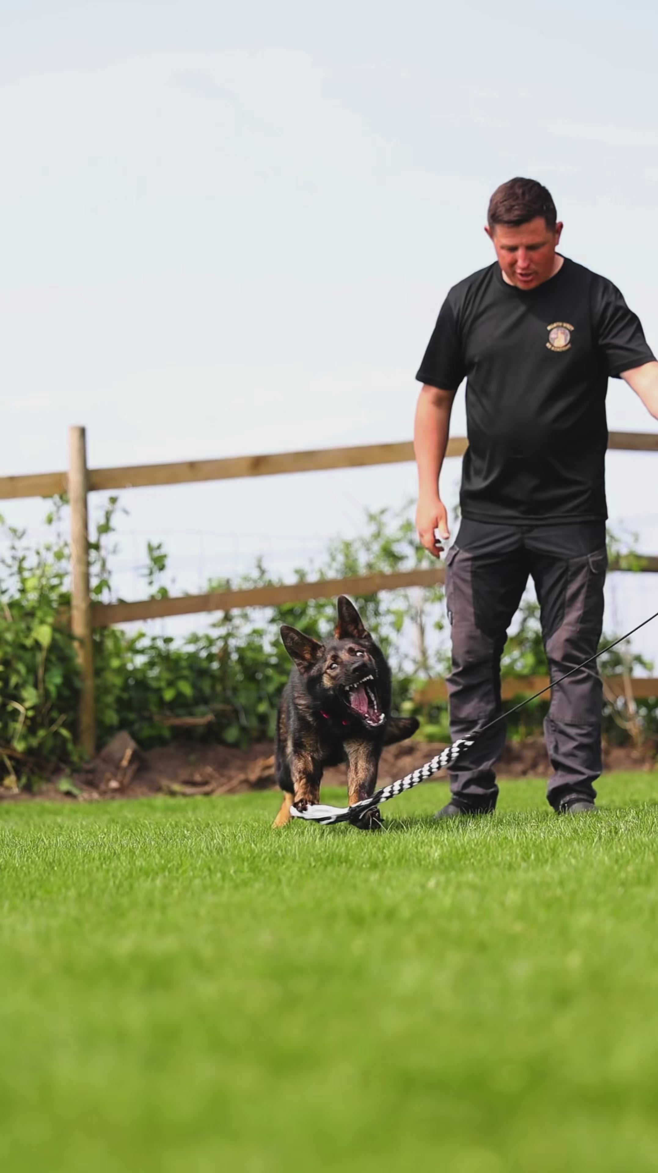 Pupco extendable flirt pole — extra strong dog training toy | Thepupco UK
